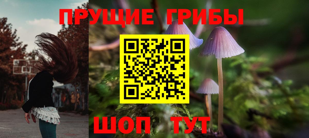 Псилоцибиновые грибы MAGIC MUSHROOMS Старая Купавна