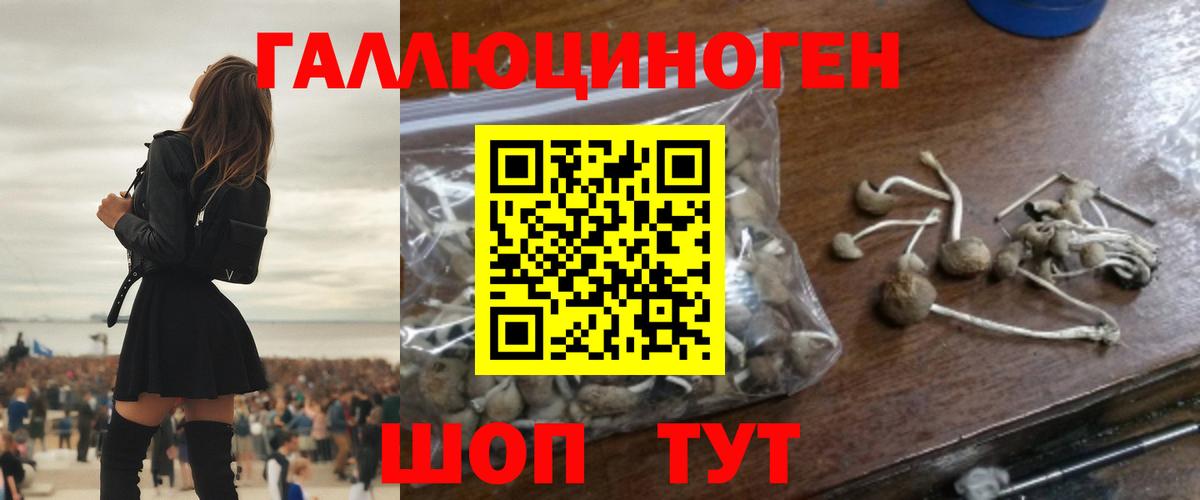 цены   Псилоцибиновые грибы Magic Shrooms  Вход с VPN  Старая Купавна 